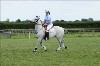 UKPA NC SAT_2821